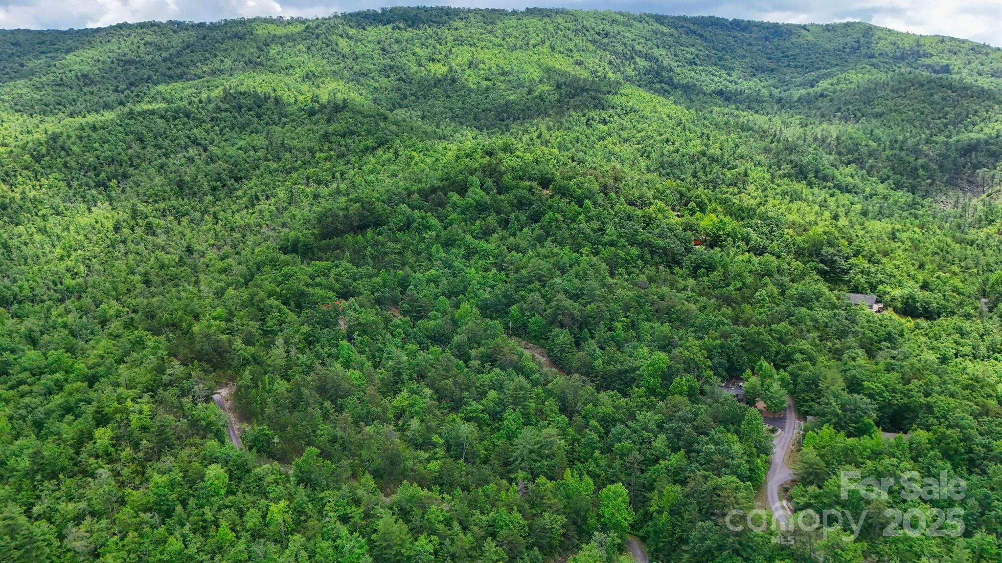 55 Chickasaw Way, Unit 3B Marion, NC 28752 - Photo 2 of 11 a view of a lush green forest