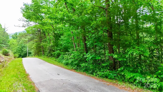 a view of a garden with plants