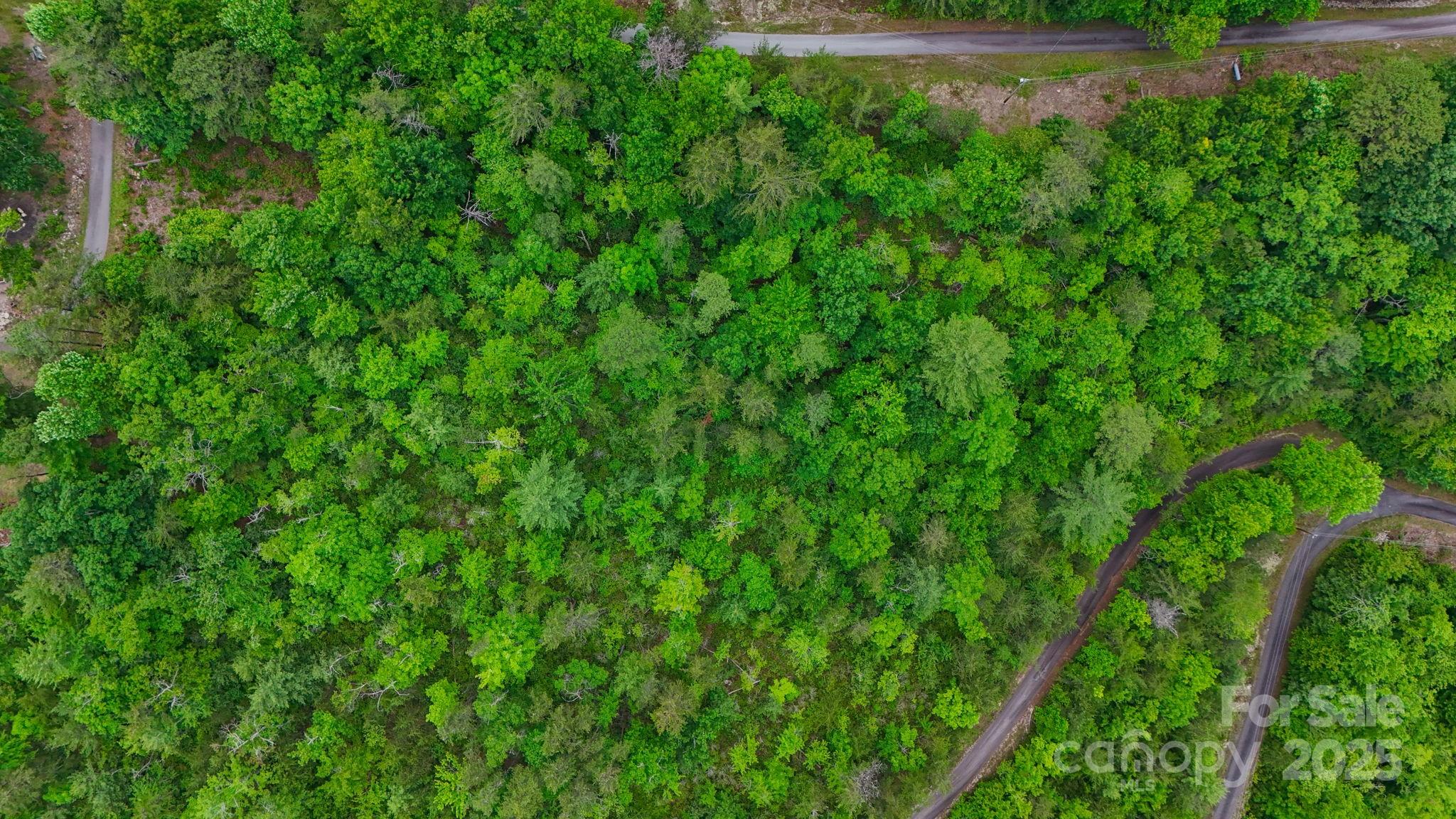 55 Chickasaw Way, Unit 3B Marion, NC 28752 - Photo 5 of 11 a view of a lush green yard