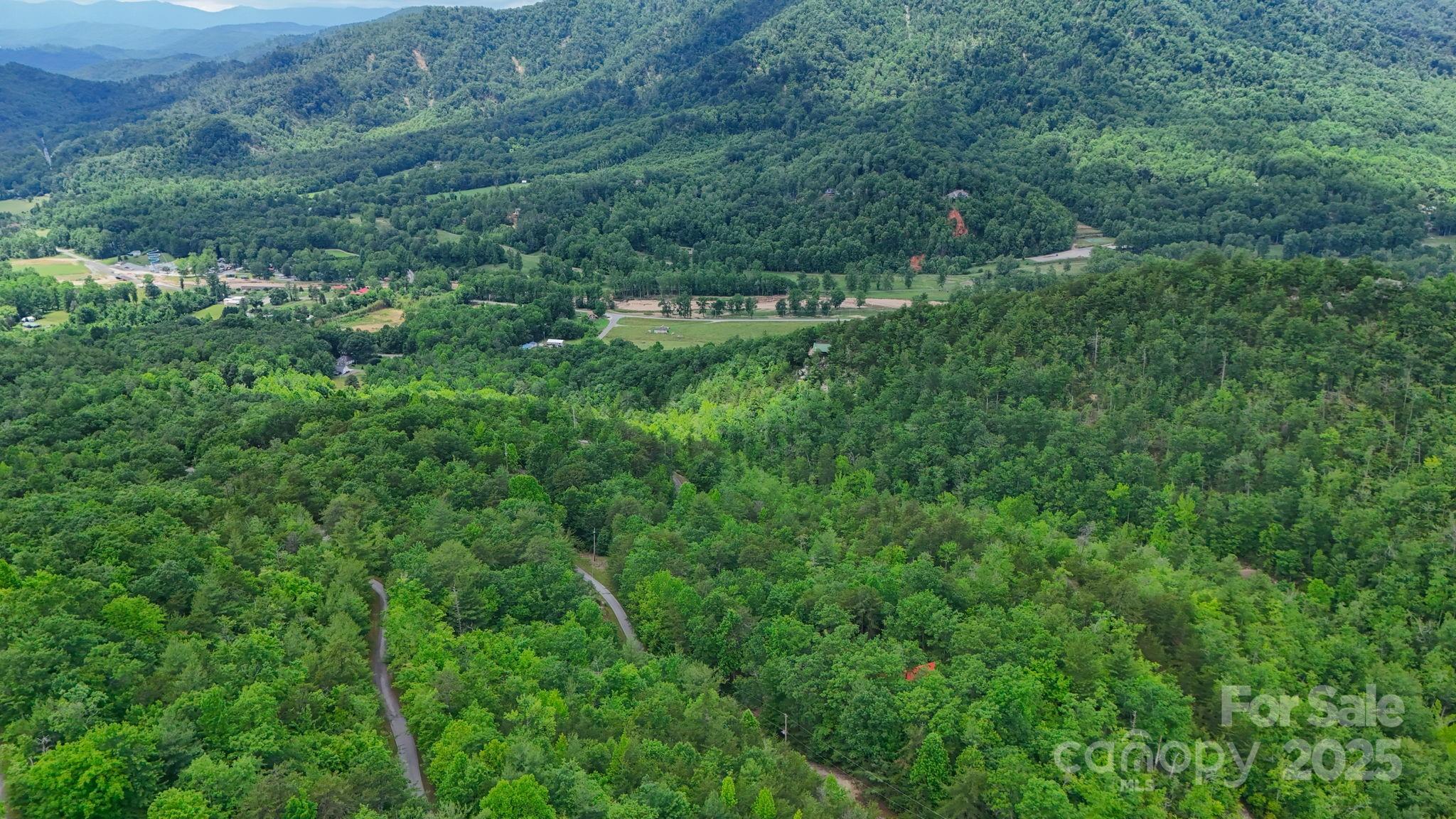 55 Chickasaw Way, Unit 3B Marion, NC 28752 - Photo 6 of 11 a view of a lush green forest with lots of trees
