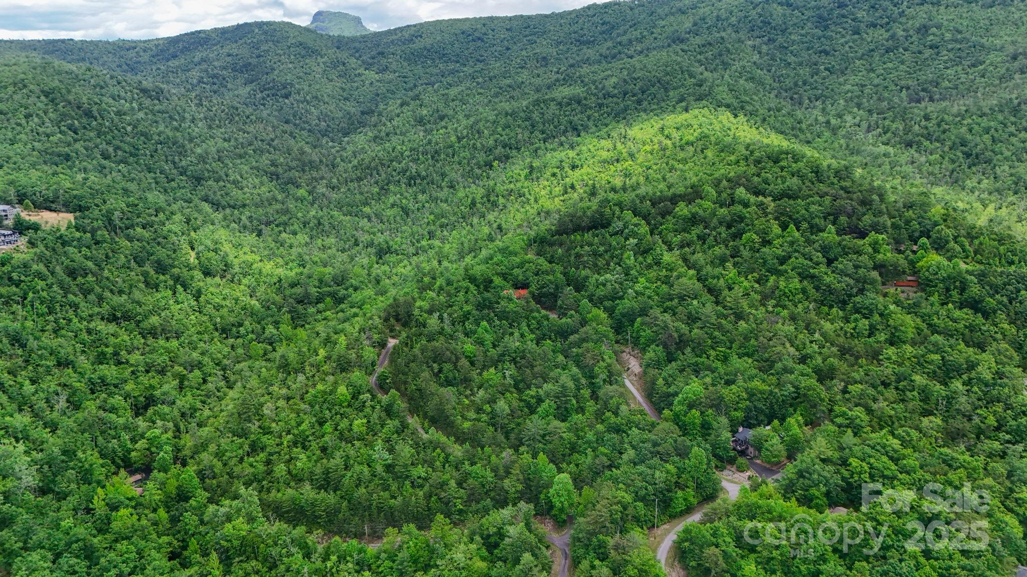 55 Chickasaw Way, Unit 3B Marion, NC 28752 - Photo 7 of 11 a view of a lush green forest with houses