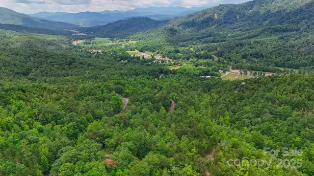 a view of a lush green forest with trees and some houses