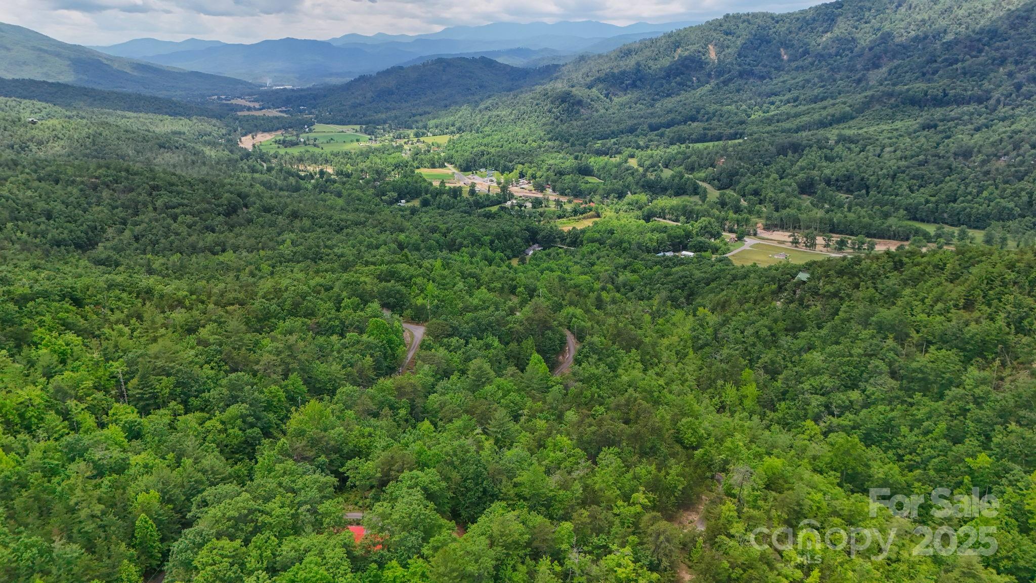 55 Chickasaw Way, Unit 3B Marion, NC 28752 - Photo 8 of 11 a view of a lush green forest with trees and some houses