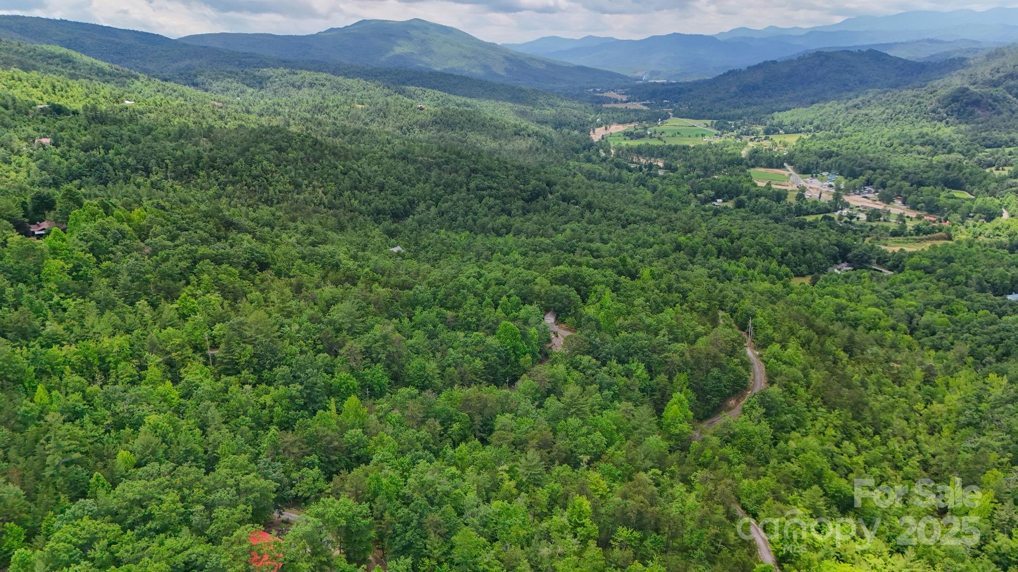 55 Chickasaw Way, Unit 3B Marion, NC 28752 - Photo 9 of 11 a view of a lush green hillside and a houses