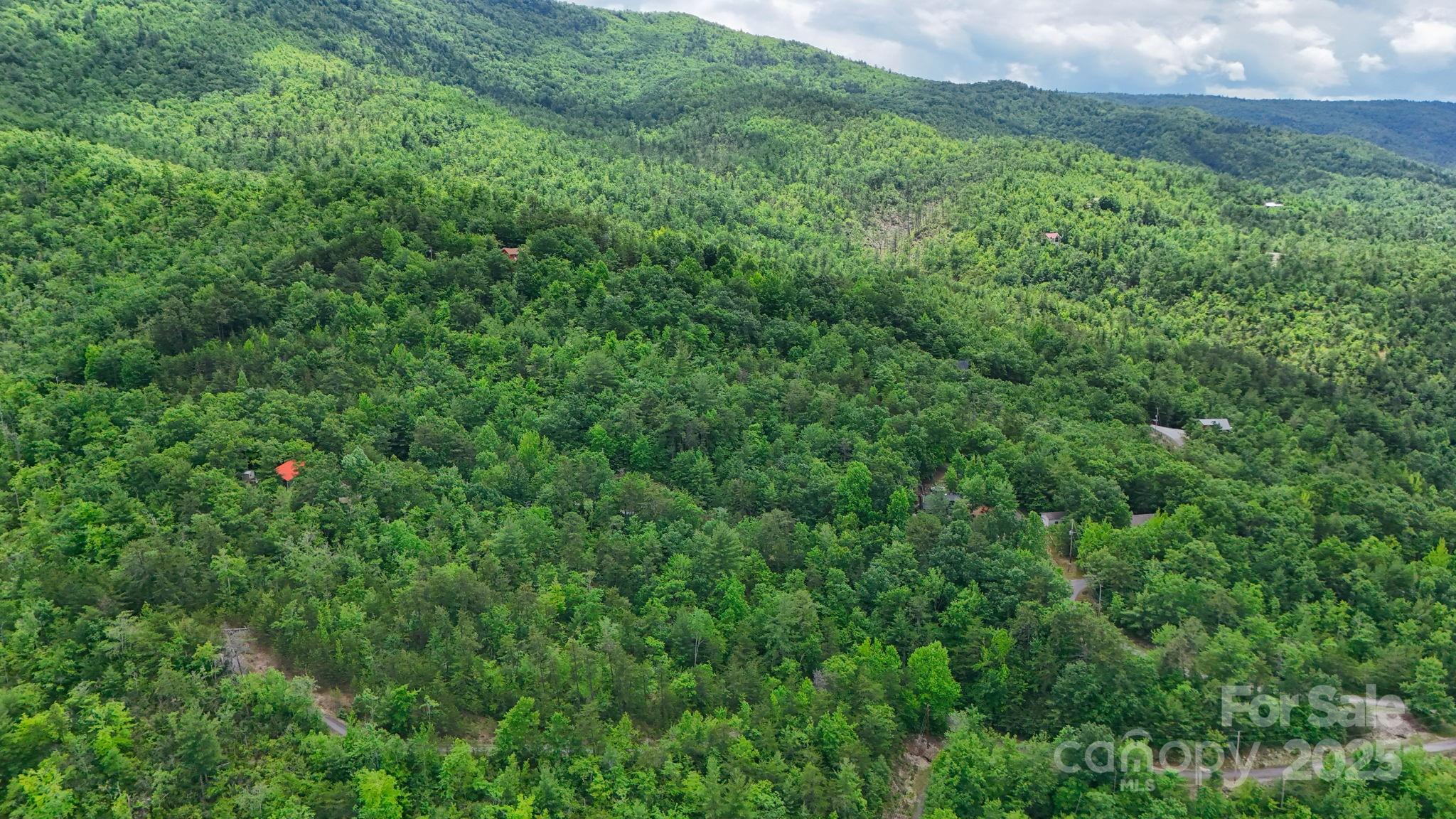 55 Chickasaw Way, Unit 3B Marion, NC 28752 - Photo 10 of 11 a view of a lush green forest