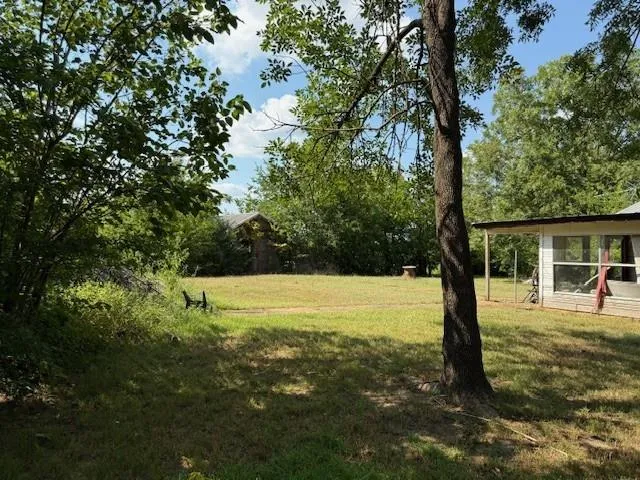a view of a yard with a tree