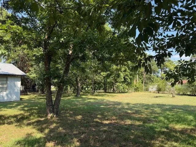 a view of outdoor space with trees all around