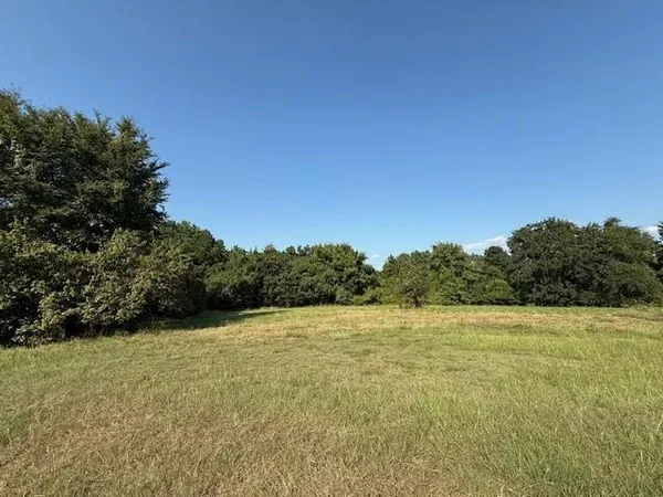 a view of a field with an ocean view