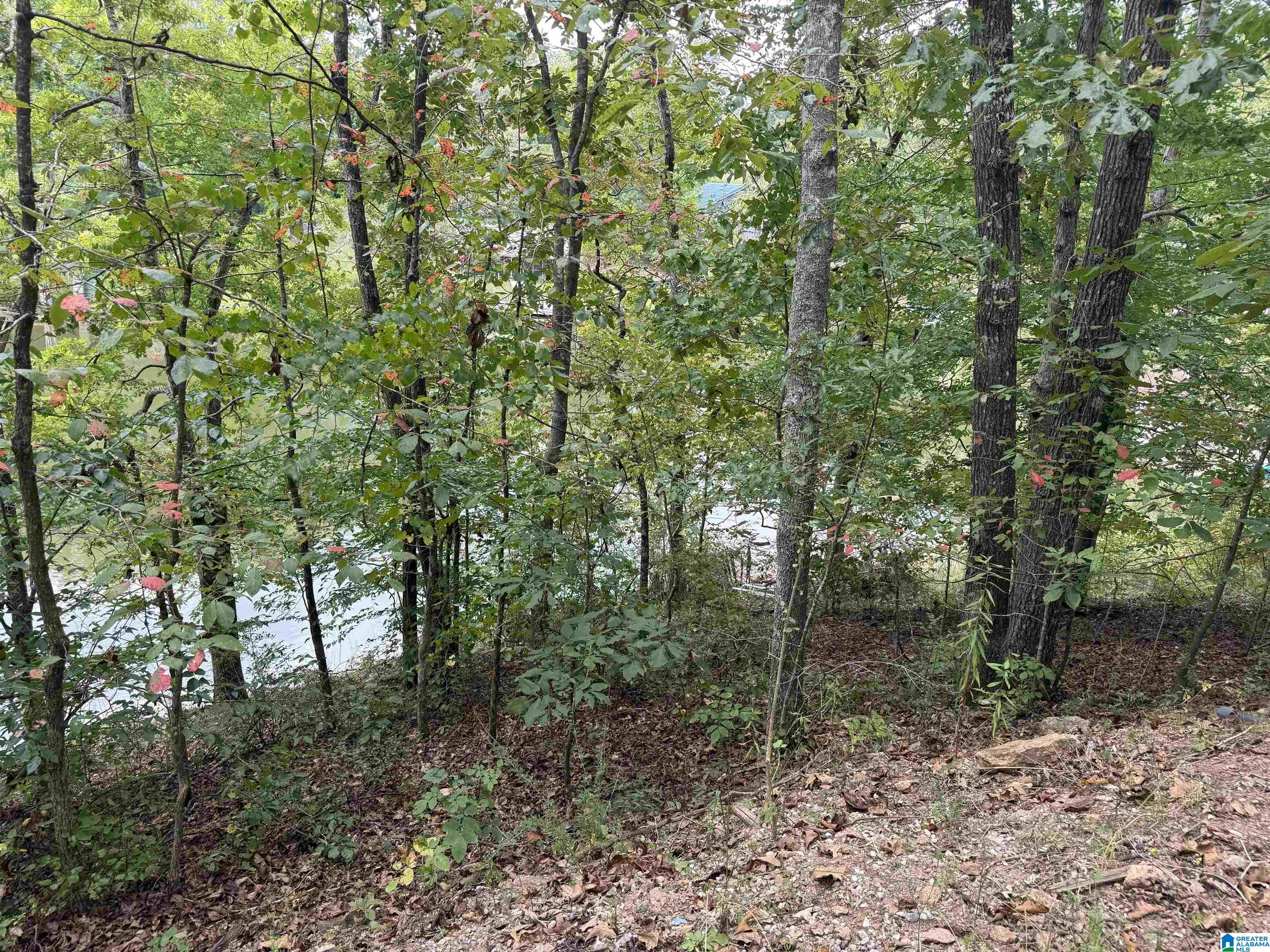 0 Lakeside Circle, Unit 31 Delta, AL 36258 - Photo 11 of 16