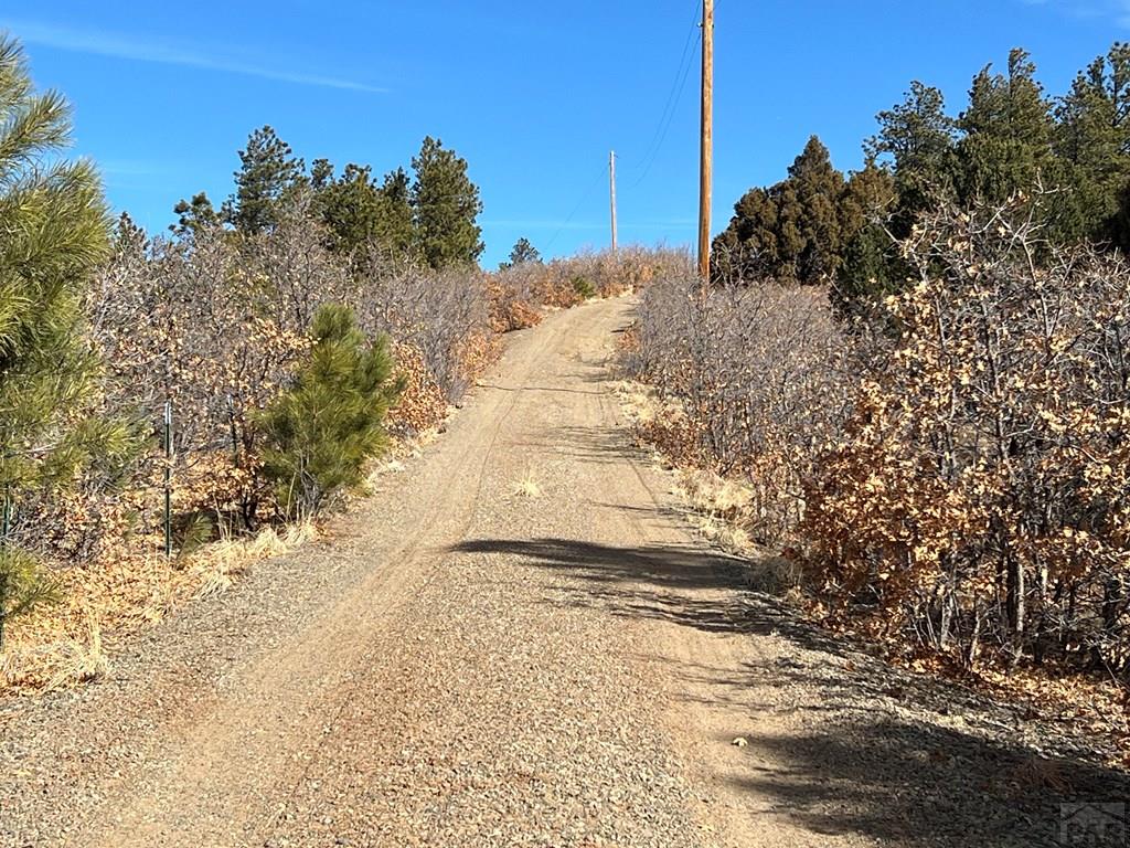 13333 Stonewall Parallel Road Weston, CO 81091 - Photo 3 of 55