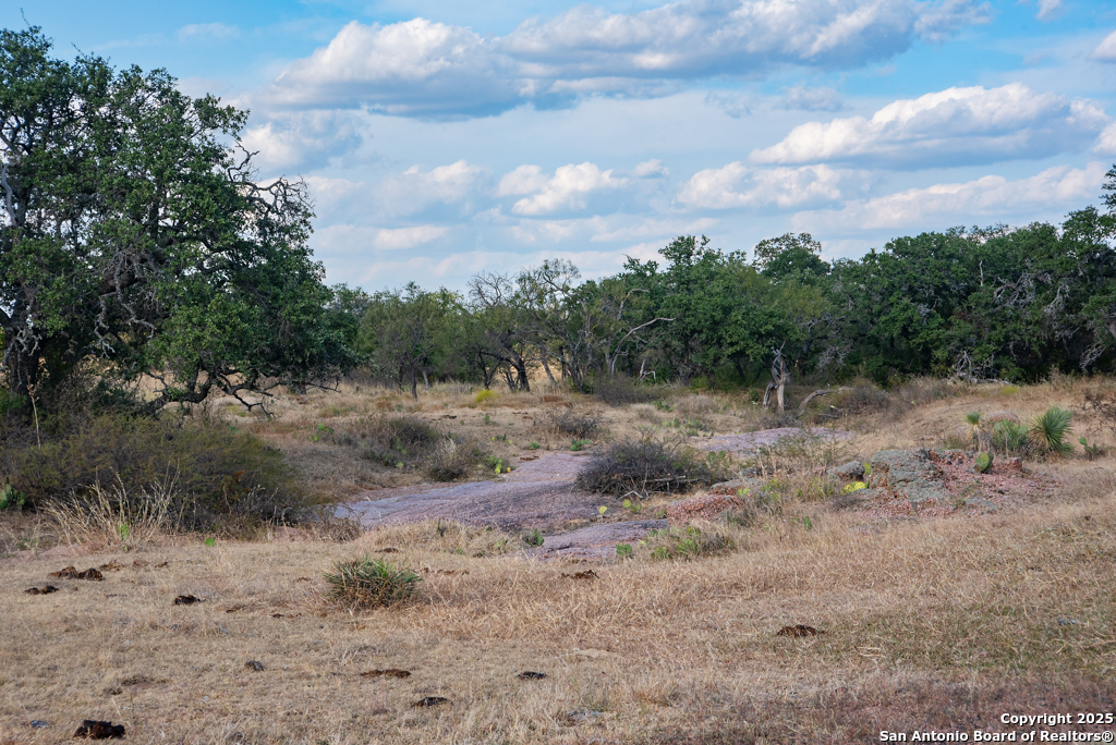 Tbd Blackjack Road Brady, TX 76842 - Photo 11 of 16 a view of a forest with trees in back