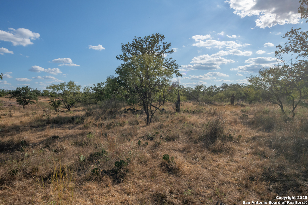 Tbd Blackjack Road Brady, TX 76842 - Photo 3 of 16 a view of a big yard with lots of bushes