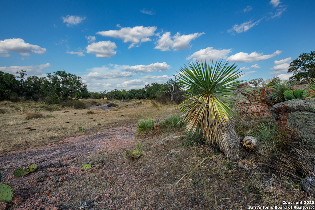 Tbd Blackjack Road Brady, TX 76842 - Photo 4 of 16 a view of a dry yard with wooden fence