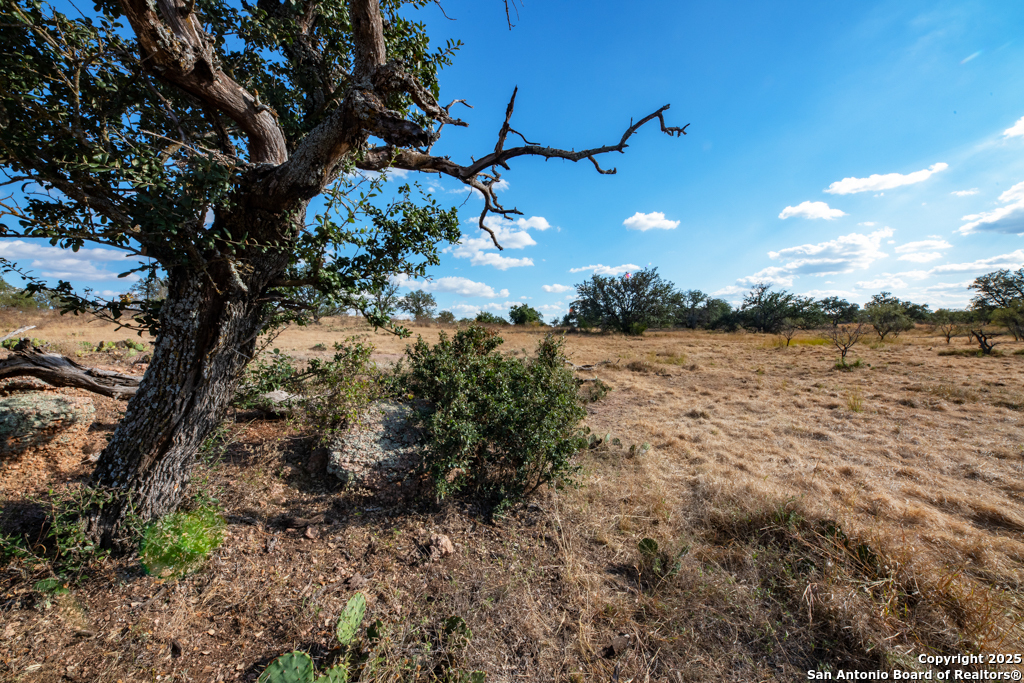 Tbd Blackjack Road Brady, TX 76842 - Photo 6 of 16 a view of a lake with a tree