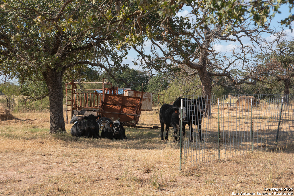 Tbd Blackjack Road Brady, TX 76842 - Photo 10 of 16 a view of a backyard of the house