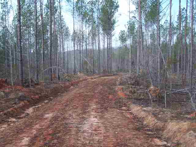 0 Sharon Heights Road Abbeville, SC 29620 - Photo 1 of 5 Gallery Image 1