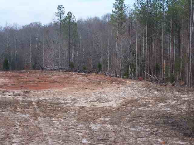 0 Sharon Heights Road Abbeville, SC 29620 - Photo 3 of 5 Gallery Image 3