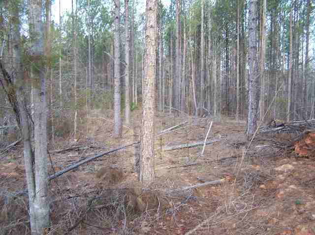 0 Sharon Heights Road Abbeville, SC 29620 - Photo 5 of 5 Gallery Image 5