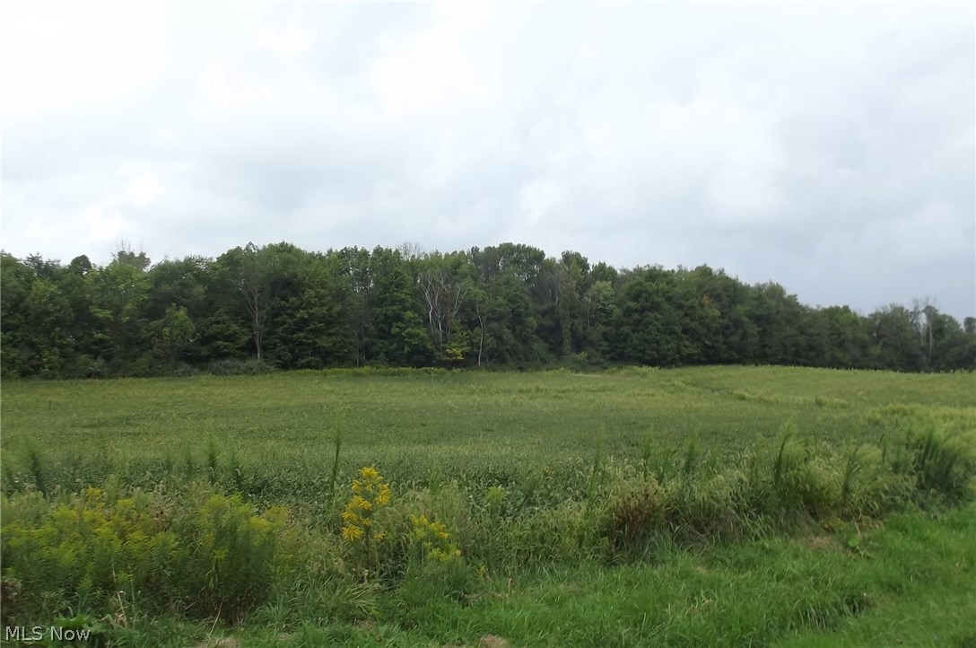 Homeworth Road Homeworth, OH 44634 - Photo 14 of 16