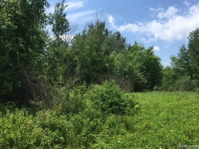 0 Merrill Road North Branch, MI 48461 - Photo 5 of 7