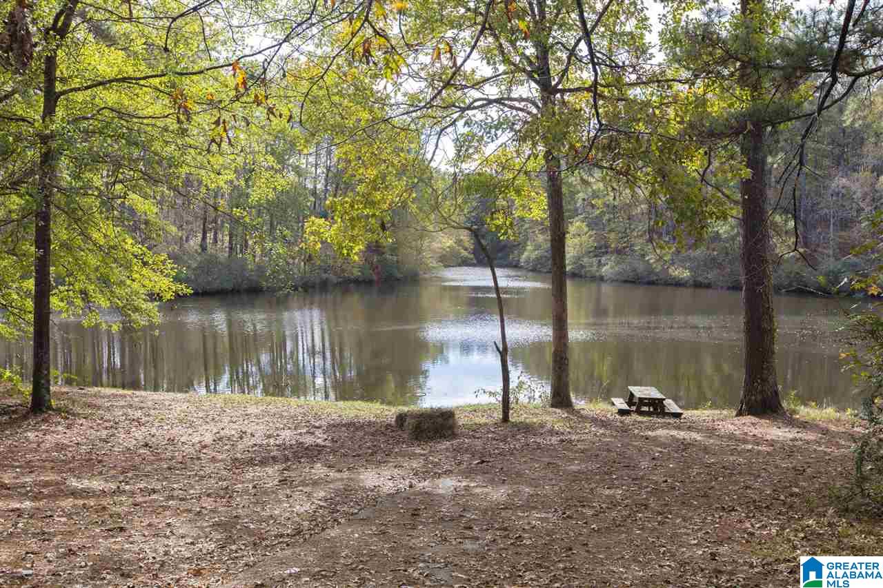 135 Brantley Lake Road Alabaster, AL 35114 - Photo 26 of 37