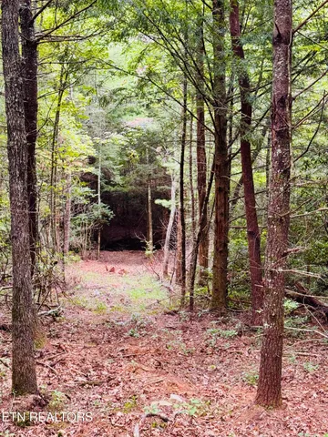 $190,000 | 0 Collins Turnpike, Deer Lodge, TN 37726