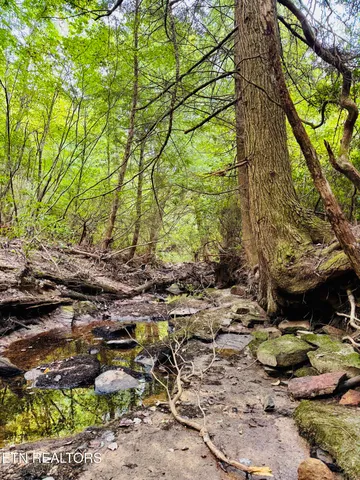 $190,000 | 0 Collins Turnpike, Deer Lodge, TN 37726