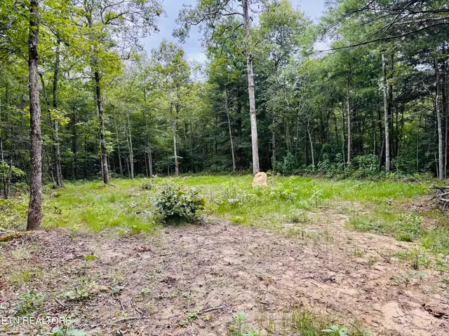 $190,000 | 0 Collins Turnpike, Deer Lodge, TN 37726