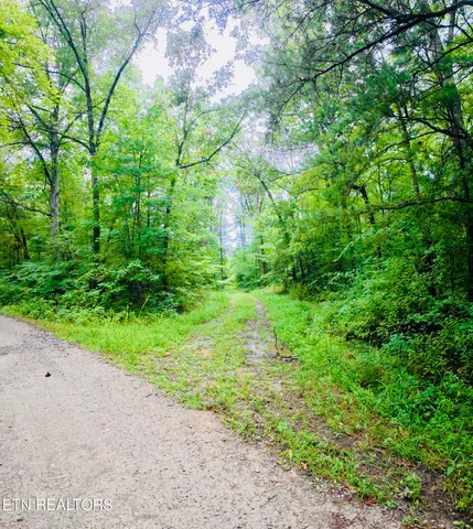 $190,000 | 0 Collins Turnpike, Deer Lodge, TN 37726