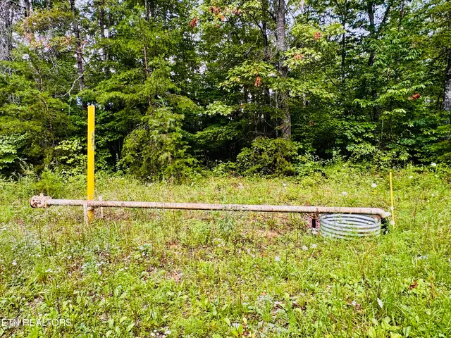 $190,000 | 0 Collins Turnpike, Deer Lodge, TN 37726