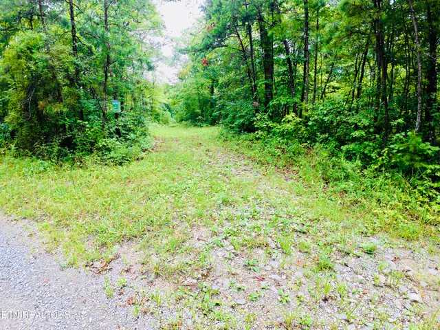 $190,000 | 0 Collins Turnpike, Deer Lodge, TN 37726