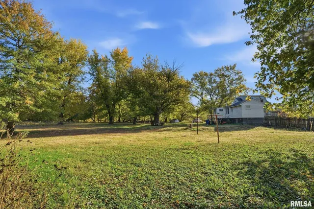 a picture of a yard with a tree