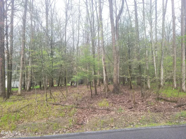 $11,000 | 355 Troxell Spring Road, Flinton, PA 16640