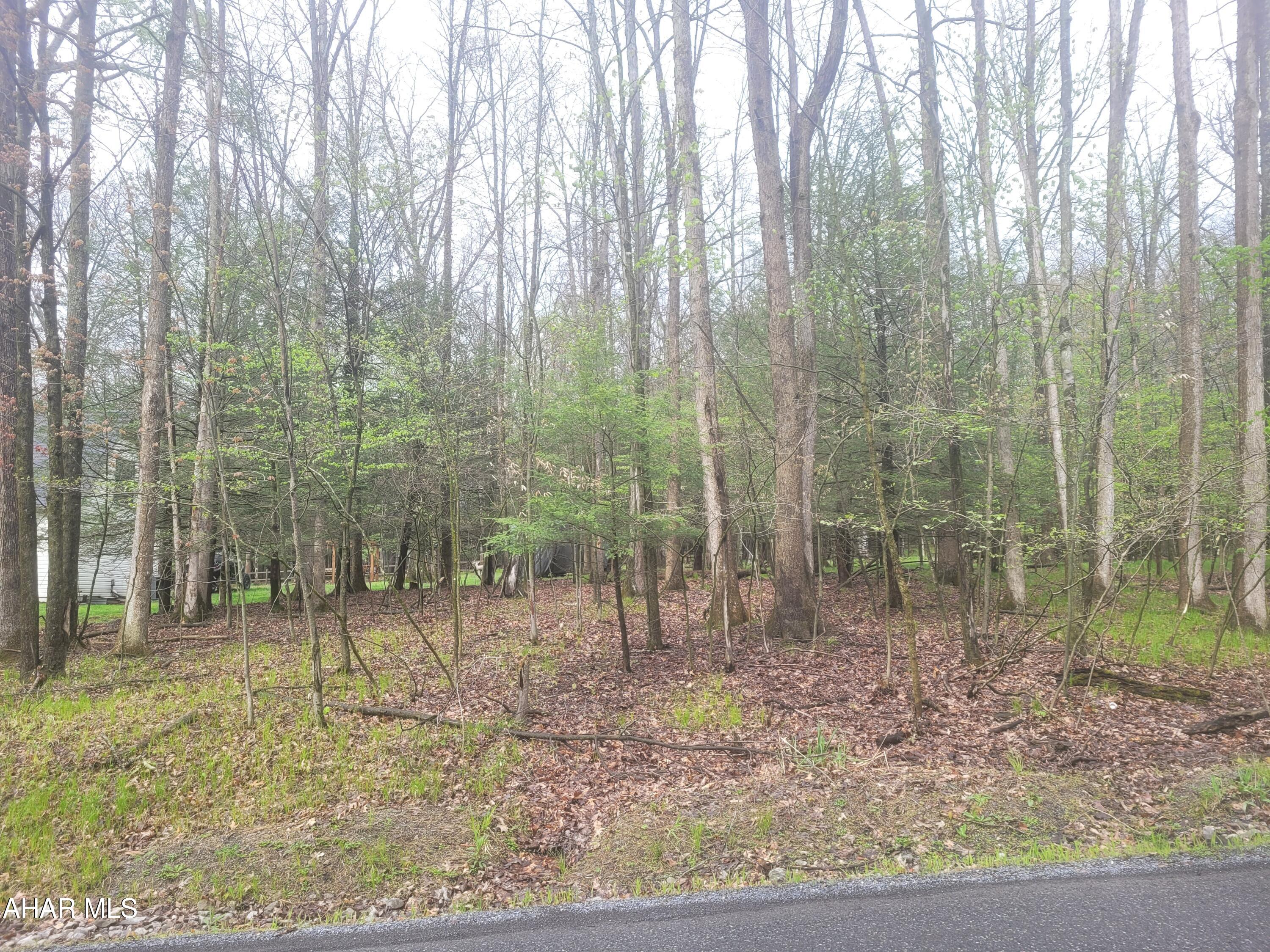 355 Troxell Spring Road Flinton, PA 16640 - Photo 1 of 3