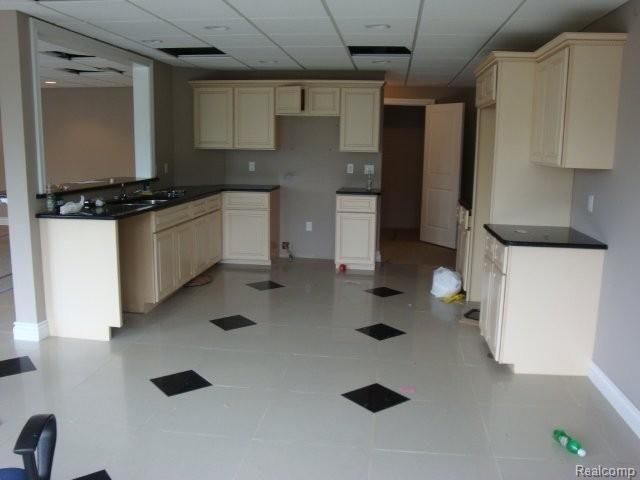 3600 Thatcher Court Rochester, MI 48309 - Photo 8 of 19 Basement kitchen