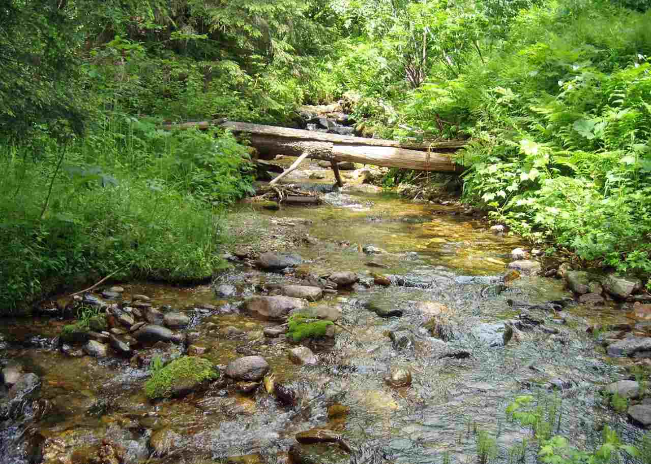 Xxxxx Cedar Creek Road Ione, WA 99139 - Photo 12 of 20 Gallery Image 12