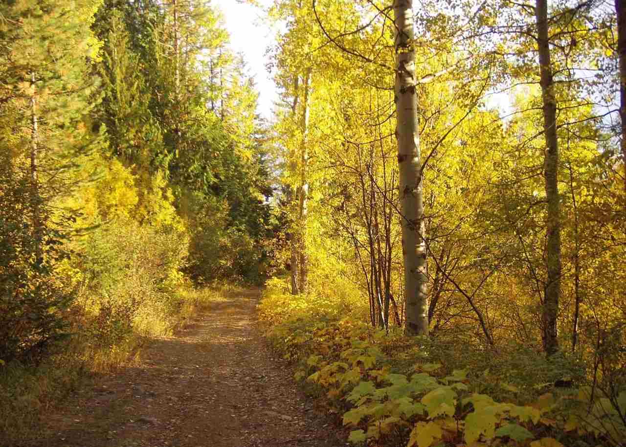 Xxxxx Cedar Creek Road Ione, WA 99139 - Photo 13 of 20 Gallery Image 13