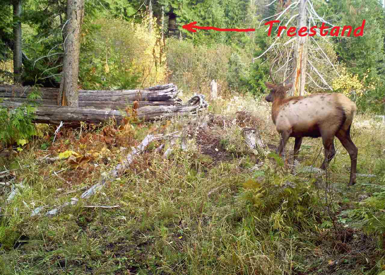 Xxxxx Cedar Creek Road Ione, WA 99139 - Photo 18 of 20 Gallery Image 18
