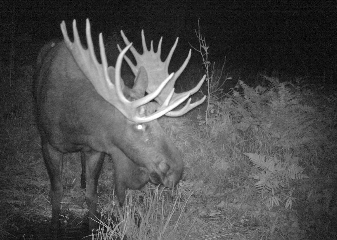 Xxxxx Cedar Creek Road Ione, WA 99139 - Photo 19 of 20 Gallery Image 19