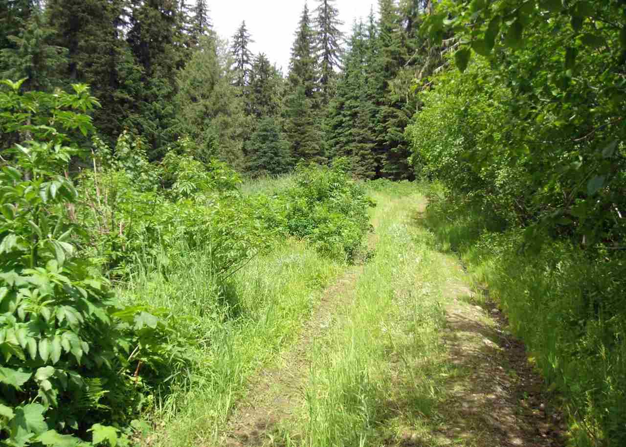 Xxxxx Cedar Creek Road Ione, WA 99139 - Photo 5 of 20 Gallery Image 5