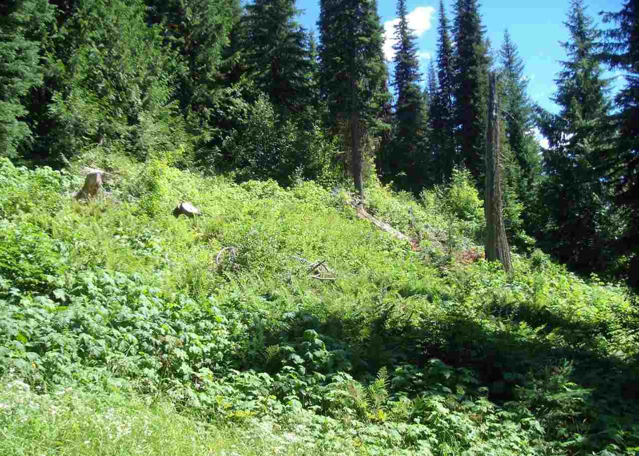 Xxxxx Cedar Creek Road Ione, WA 99139 - Photo 6 of 20 Gallery Image 6