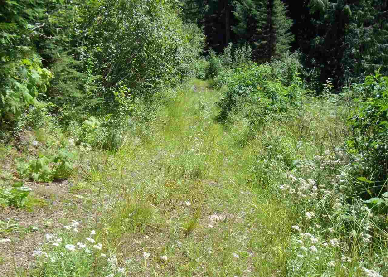 Xxxxx Cedar Creek Road Ione, WA 99139 - Photo 7 of 20 Gallery Image 7