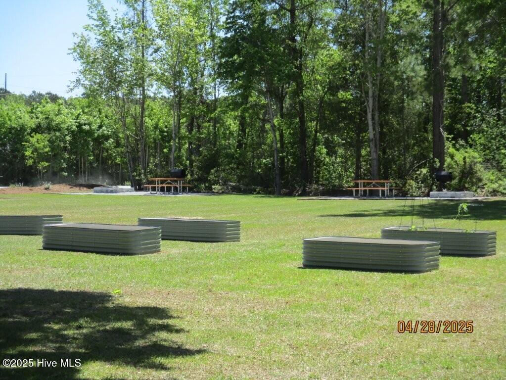 113 Long Pond Loop Swansboro, NC 28584 - Photo 26 of 28 26