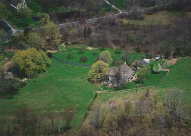 a view of a garden with plants