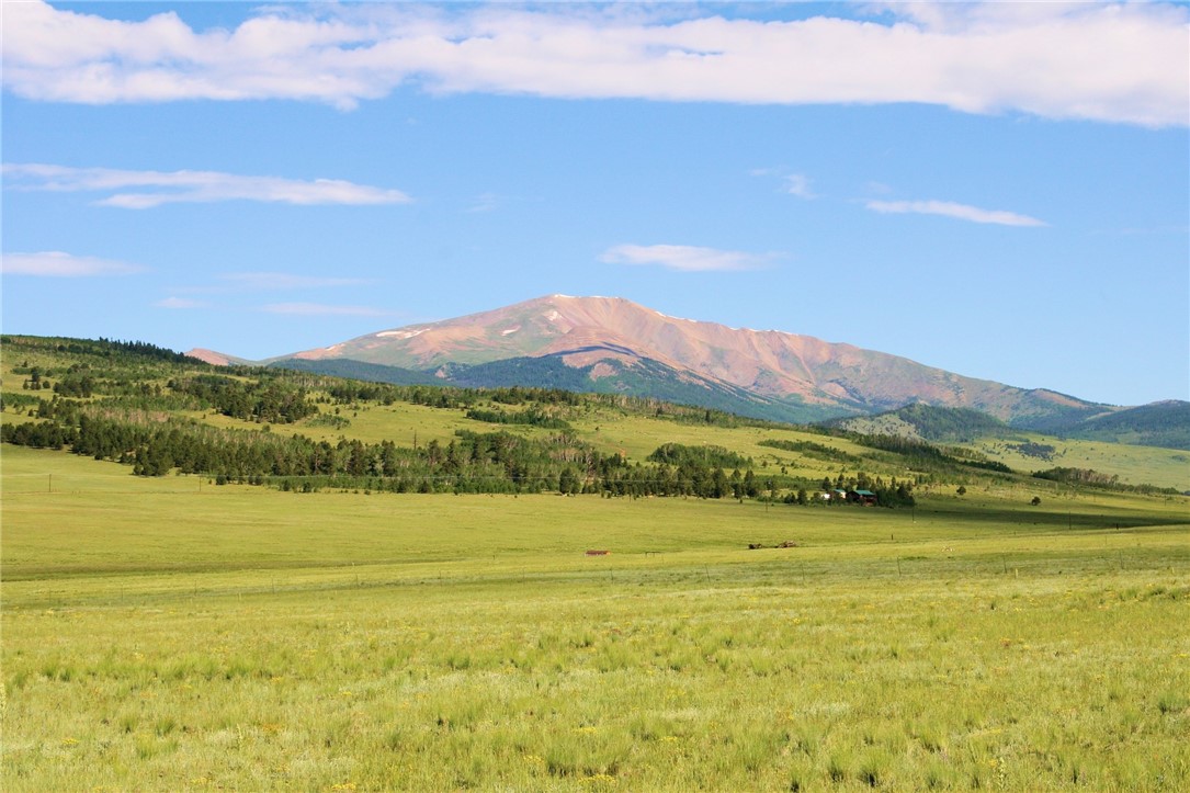1678 Center Road Fairplay, CO 80440 - Photo 3 of 16 Gallery Image 3