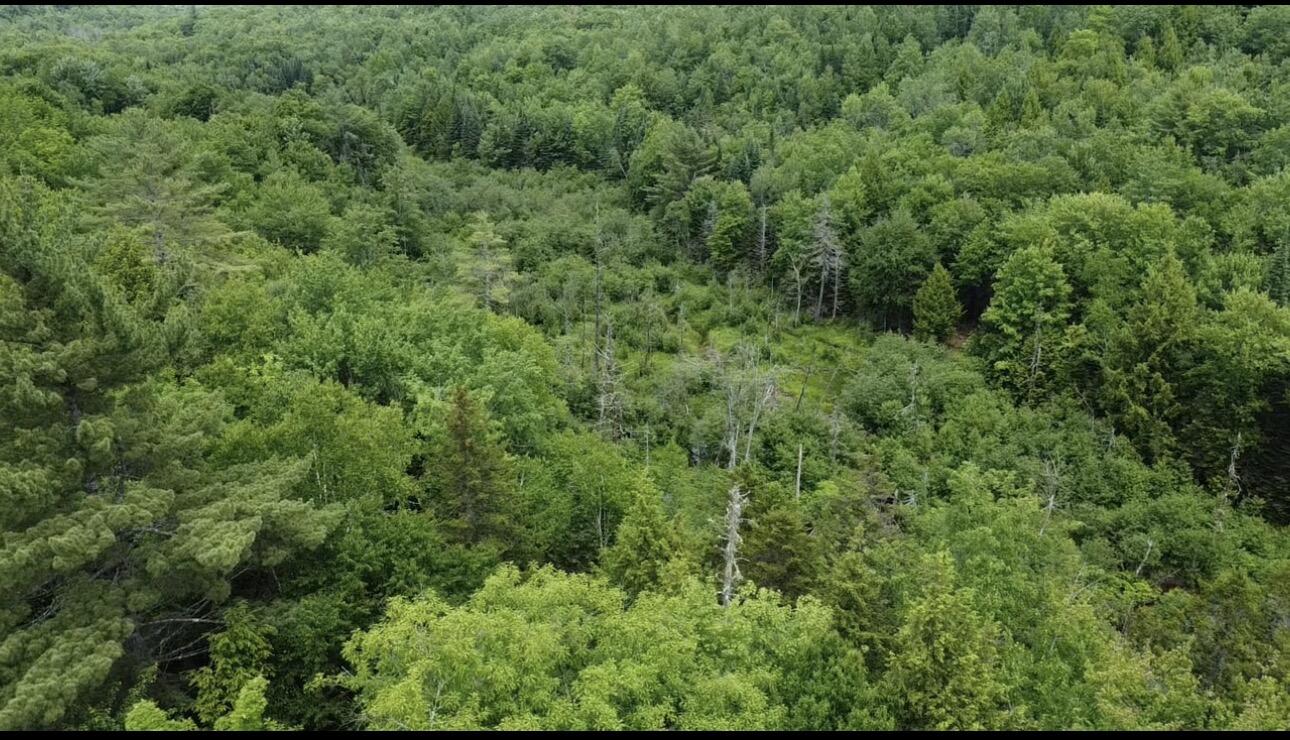 Lot 14 Hanslip Road Wilton, ME 04294 - Photo 2 of 11