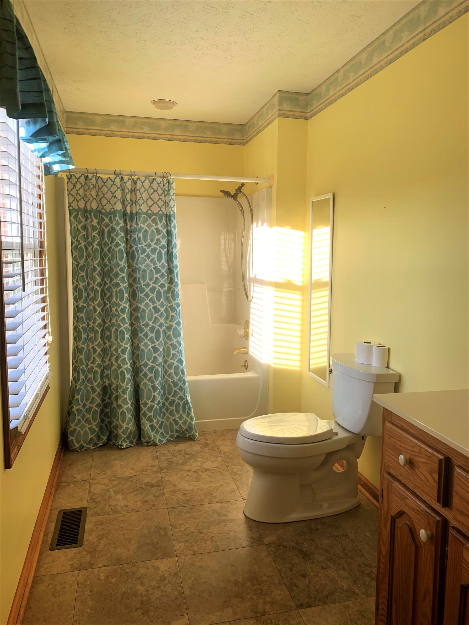 15005 Lakeshore Drive Rutledge, TN 37861 - Photo 13 of 36 Master Bath