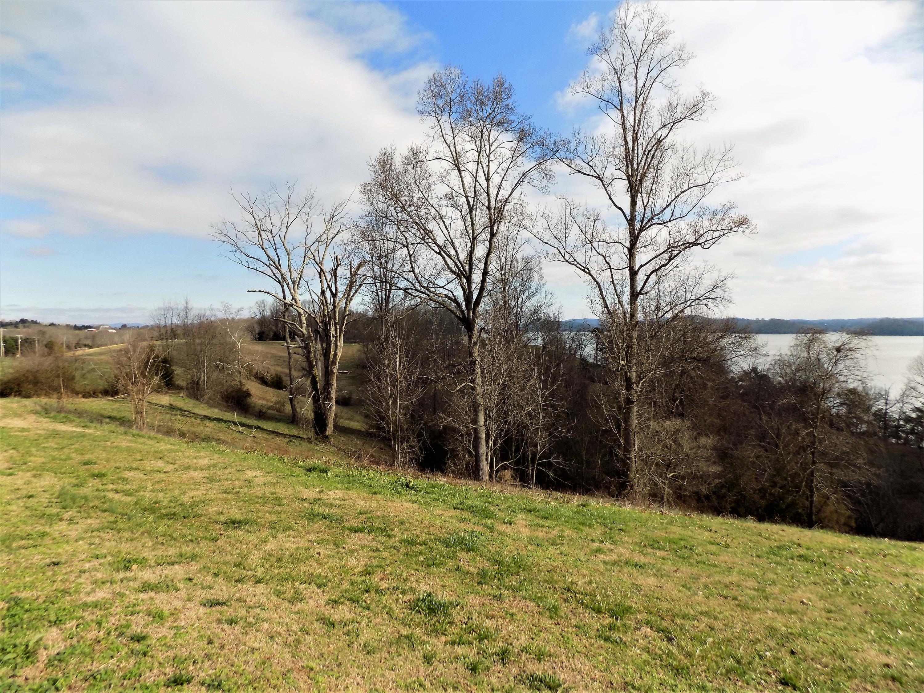 15005 Lakeshore Drive Rutledge, TN 37861 - Photo 35 of 36 Lake View