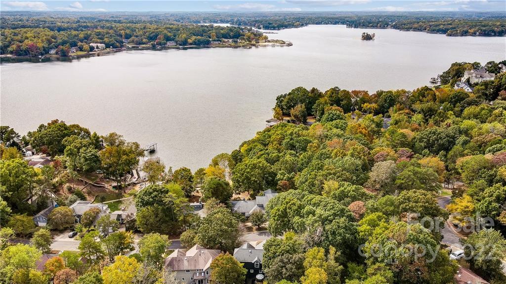 31020 Executive Point Tega Cay, SC 29708 - Photo 46 of 48 a view of a lake