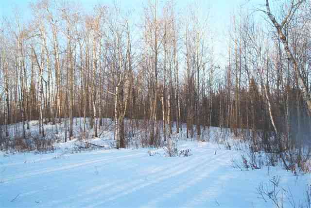 Lot 2 Pinewood Lane Babbitt, MN 55706 - Photo 2 of 2